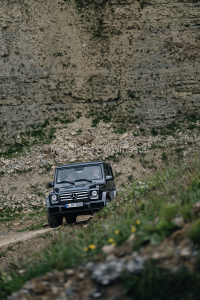 7R504081